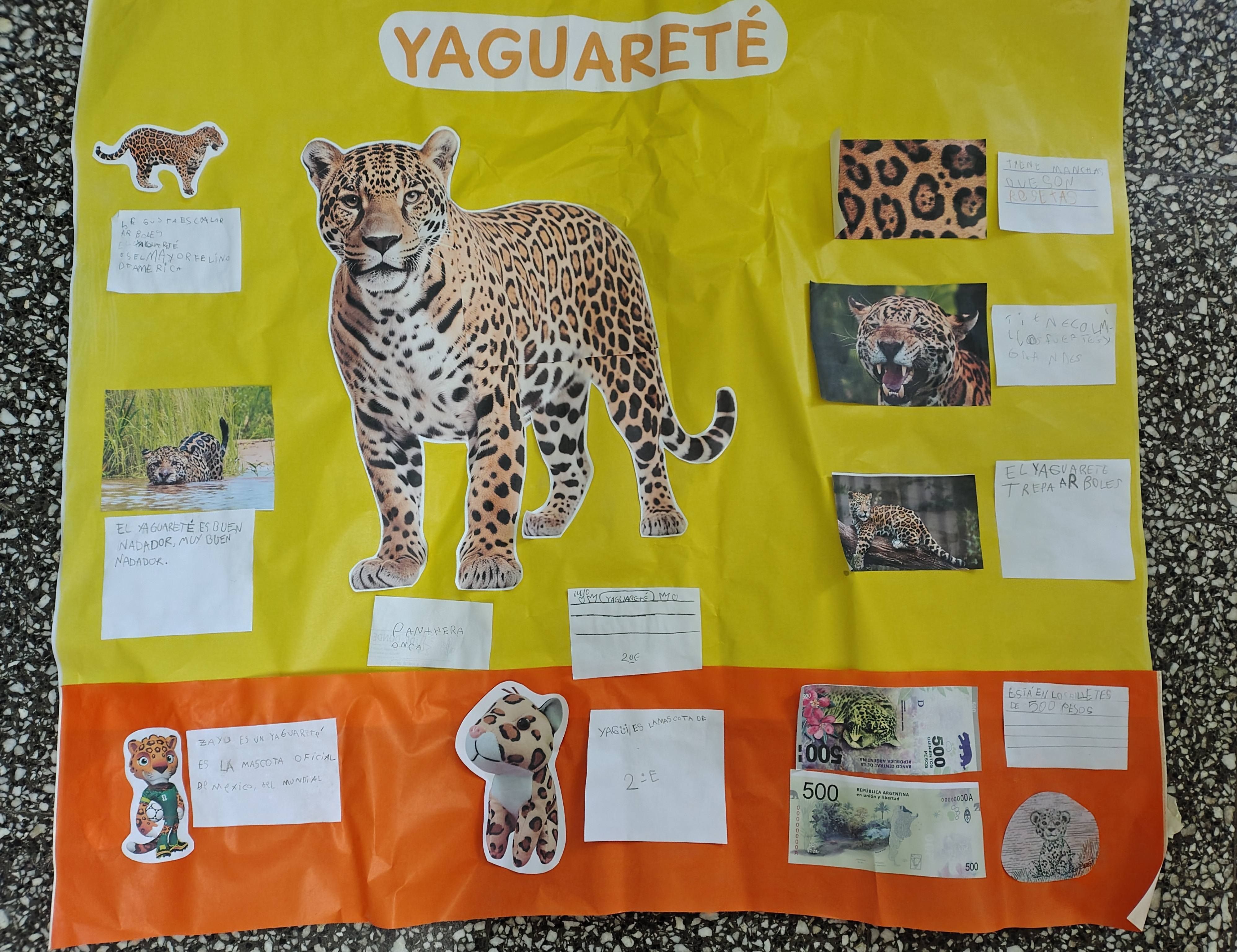 Los animales de las Yungas