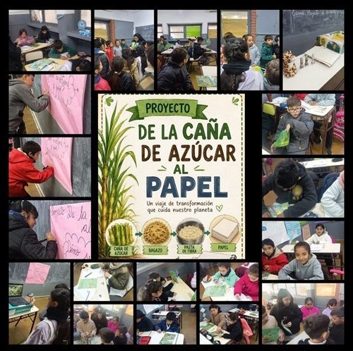 "De la caña de azúcar al papel"